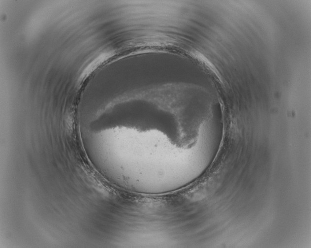 X0000089880874200706281347