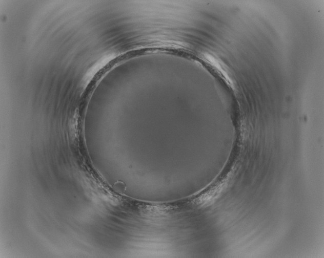 X0000089880875200706281347