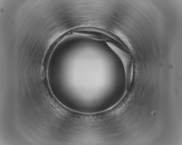 X0000089880876200706281347