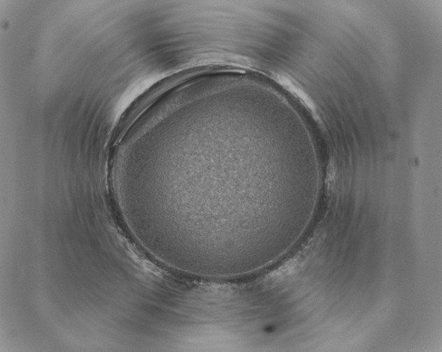 X0000089880877200706281347