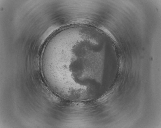 X0000089880878200706281347