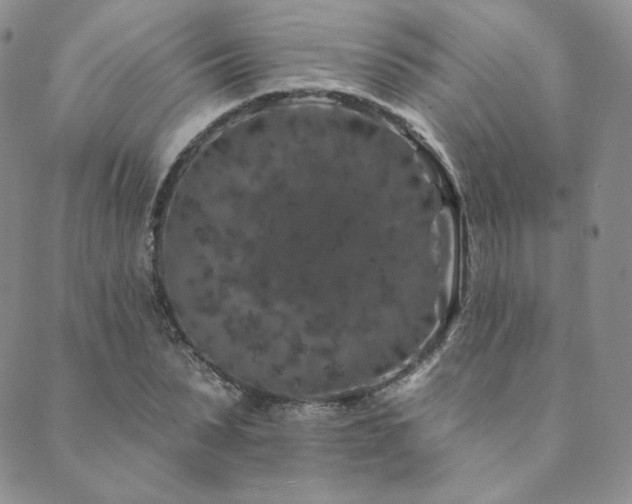 X0000089880879200706281347