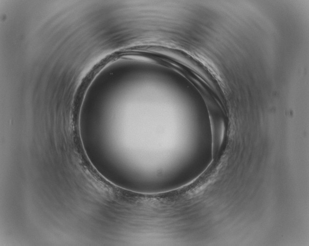 X0000089880880200706281347