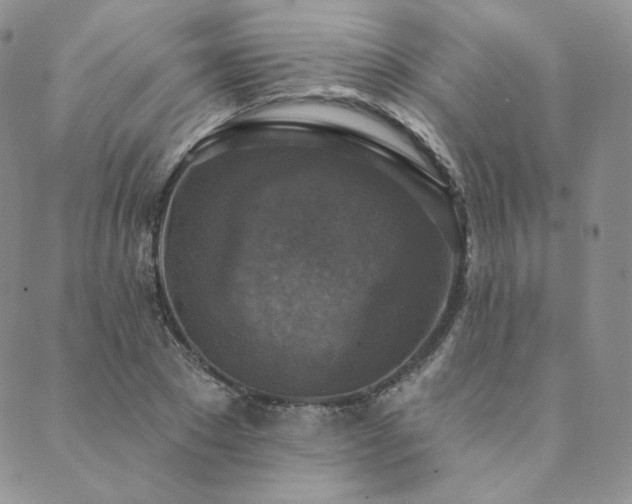 X0000089880881200706281347