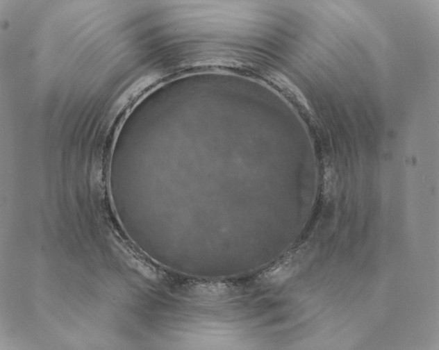 X0000089880882200706281347