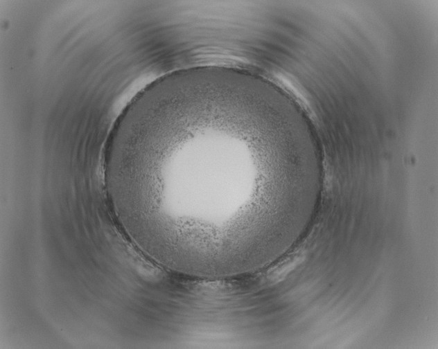 X0000089880883200706281347