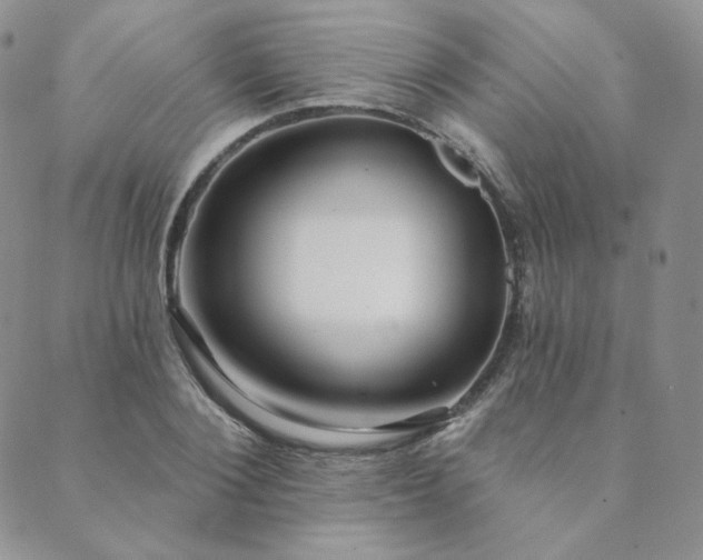 X0000089880884200706281347