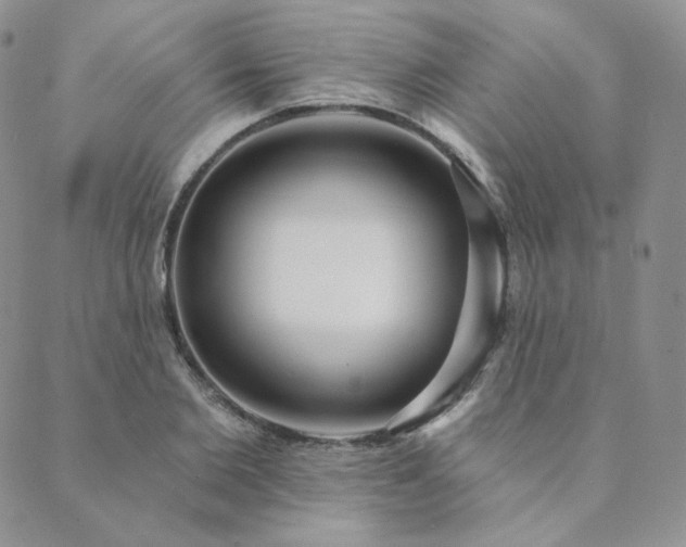 X0000089880885200706281347