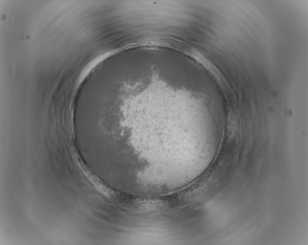 X0000089880886200706281347