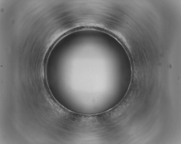 X0000089880887200706281347