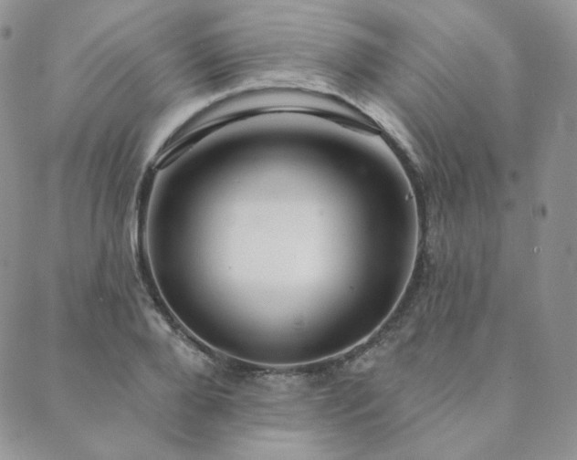 X0000089880888200706281347