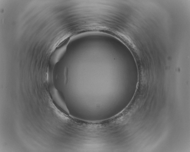 X0000089880889200706281347