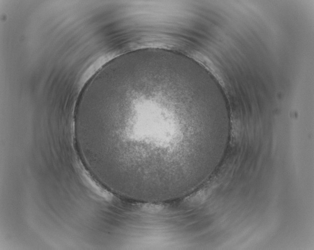 X0000089880890200706281347