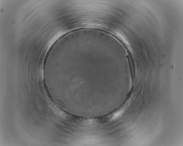 X0000089880891200706281347