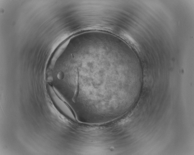 X0000089880892200706281347