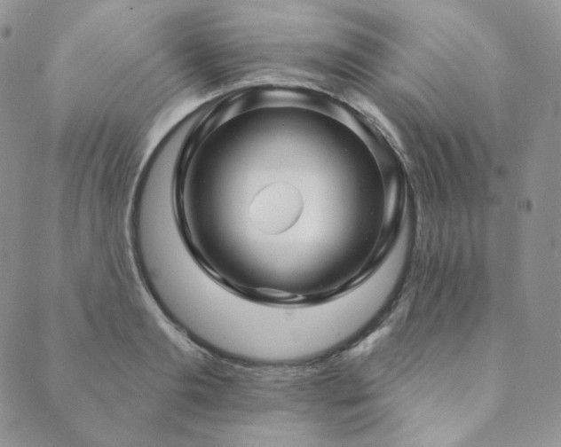 X0000089880893200706281347