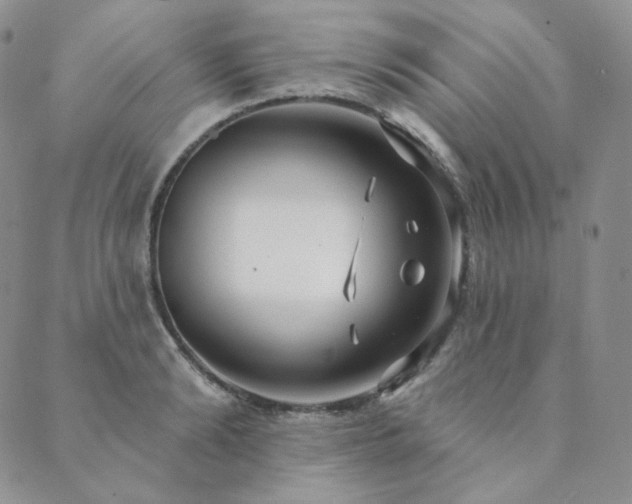 X0000089880894200706281347