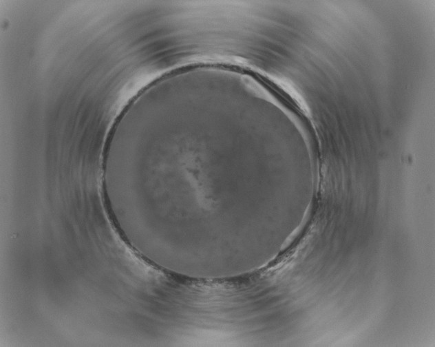 X0000089880895200706281347