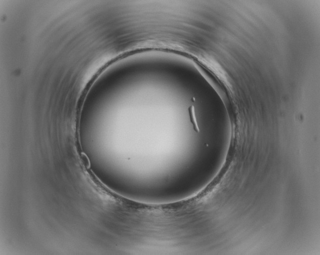 X0000089880896200706281347