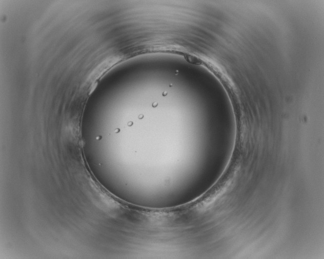 X0000089880897200706281347