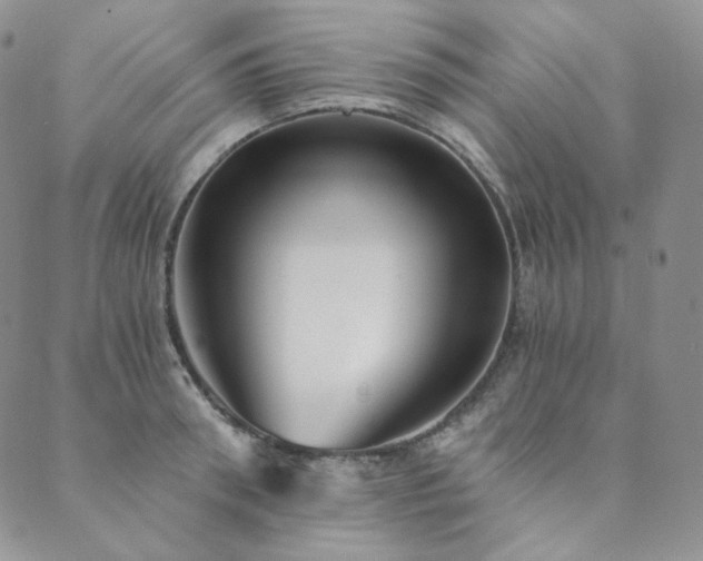 X0000089880898200706281347