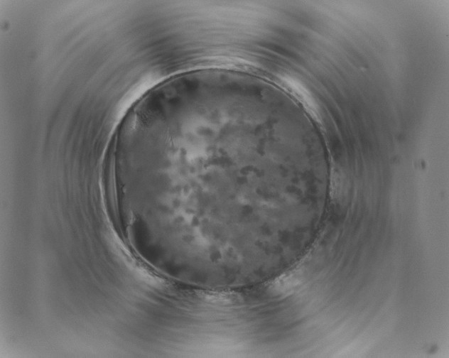 X0000089880899200706281347