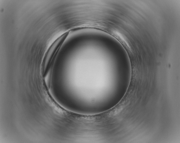 X0000089880900200706281347