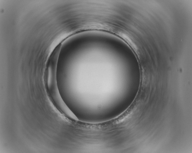 X0000089880901200706281347