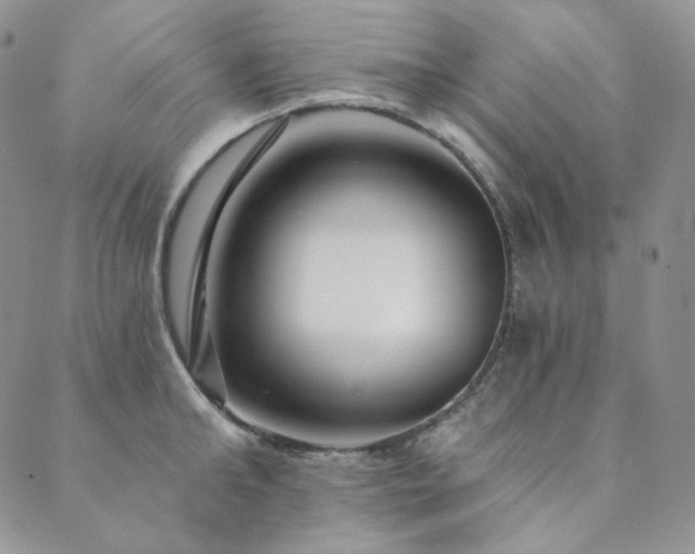 X0000089880902200706281347