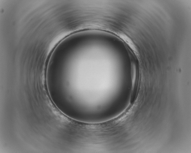 X0000089880904200706281347