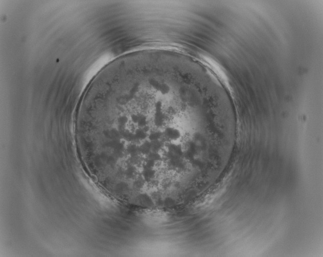 X0000089880907200706281346