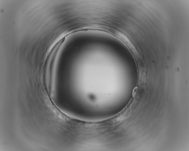 X0000089880908200706281346