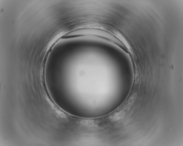 X0000089880909200706281346