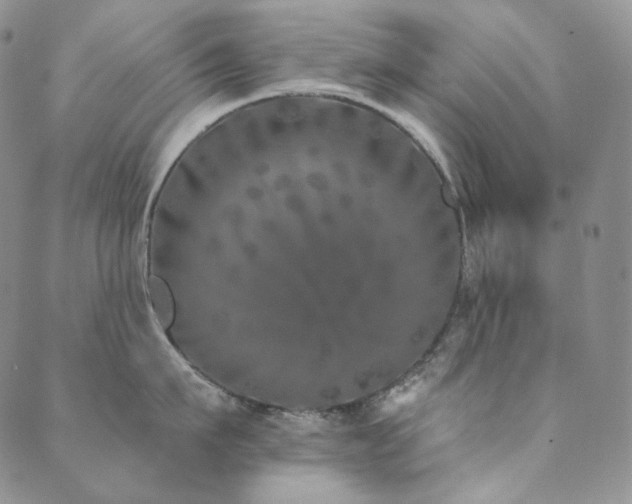 X0000089880911200706281346