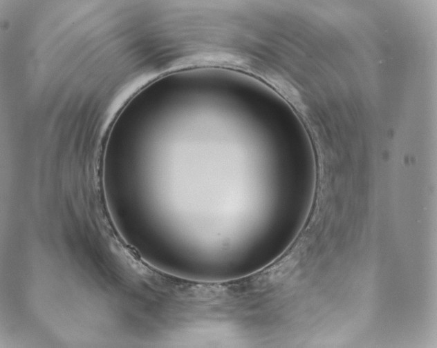 X0000089880912200706281346