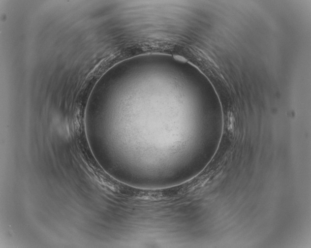 X0000089880915200706281346