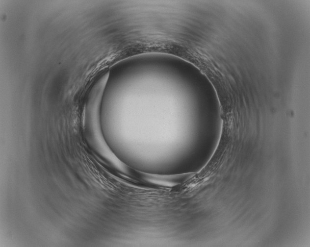 X0000089880916200706281346