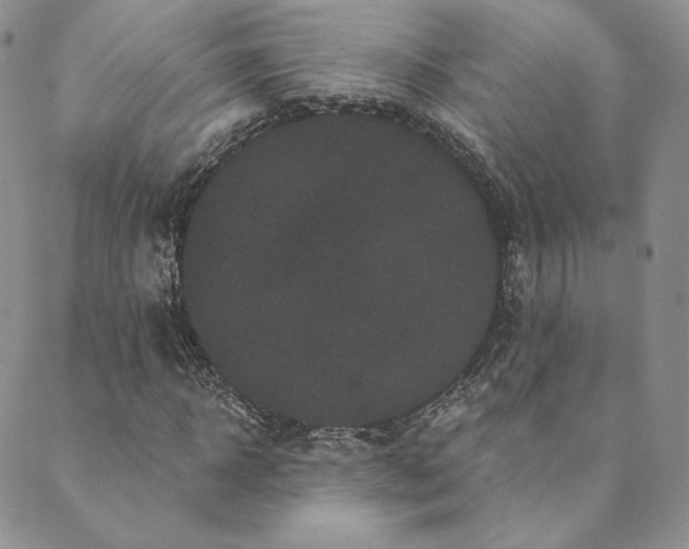 X0000089880918200706281346