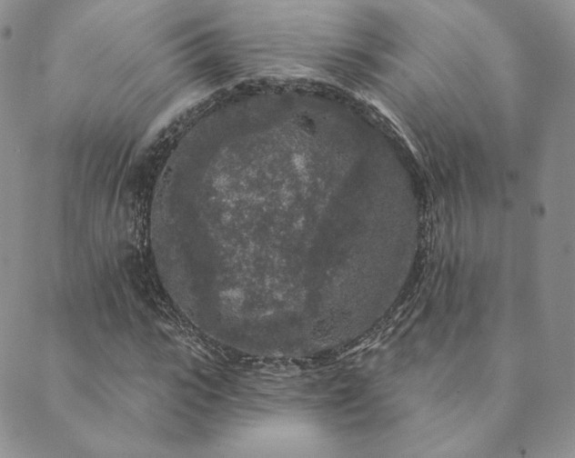 X0000089880919200706281346