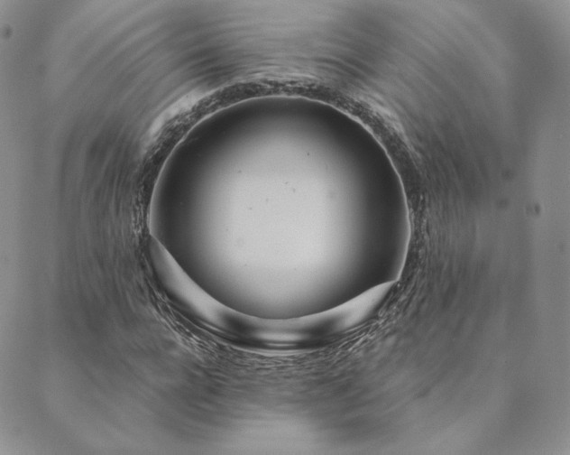 X0000089880920200706281346