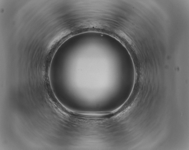 X0000089880922200706281346