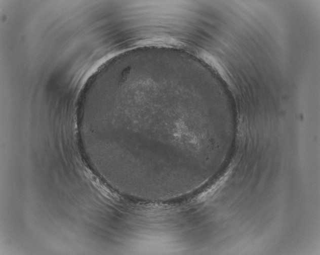 X0000089880923200706281346