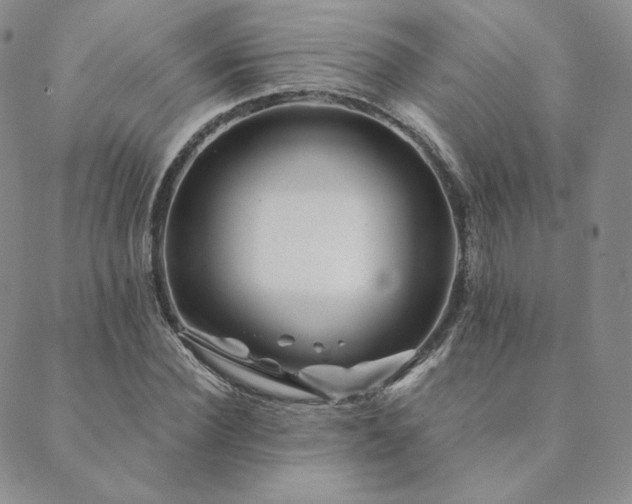 X0000089880924200706281346