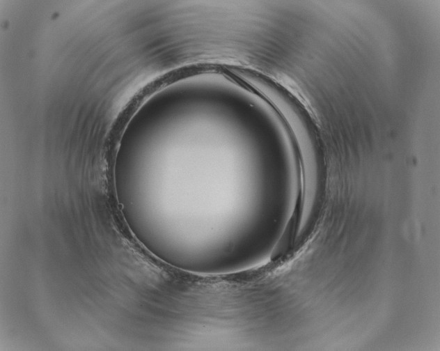 X0000089880926200706281346