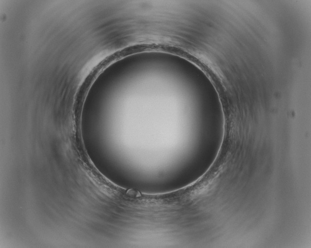 X0000089880927200706281346