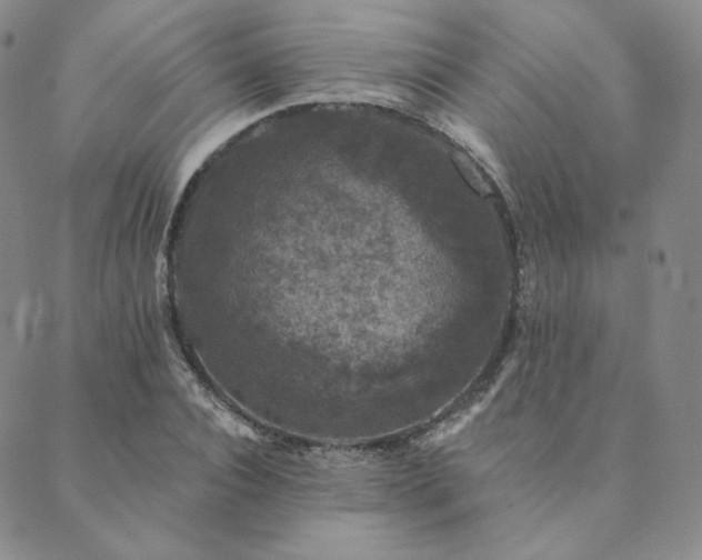 X0000089880928200706281346