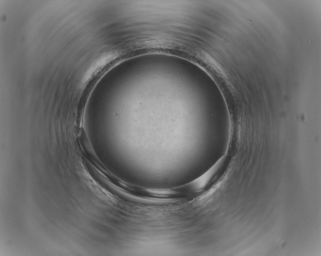 X0000089880930200706281346