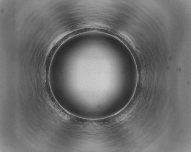 X0000089880931200706281346