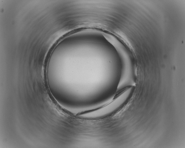 X0000089880932200706281346