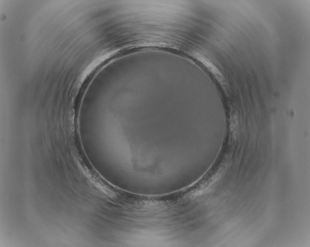 X0000089880933200706281346